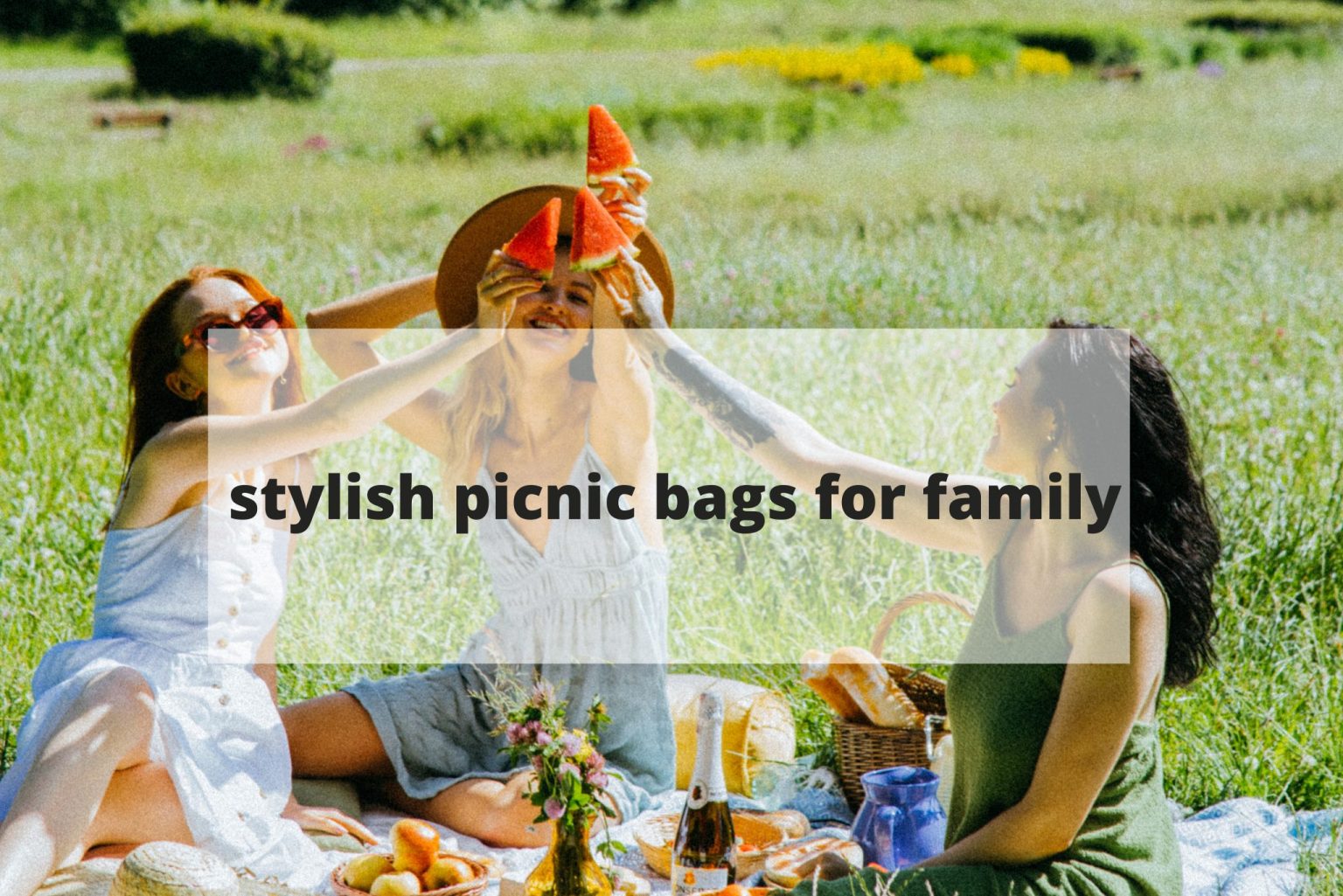stylish picnic bags for family