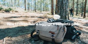 How to clean fabric luggage(a complete guide)